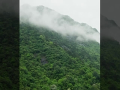 MYUAV द्वारा निर्मित DJI FC30 FlyCart 30 बांधे हुए ड्रोन प्रणाली